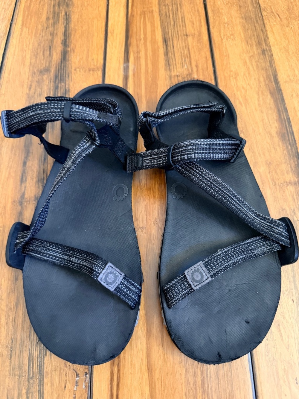 Xero Shoes Z-Trail EV Sandals - Women's (size 8, multi-black)